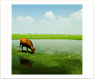 QQ20261019-131128.png